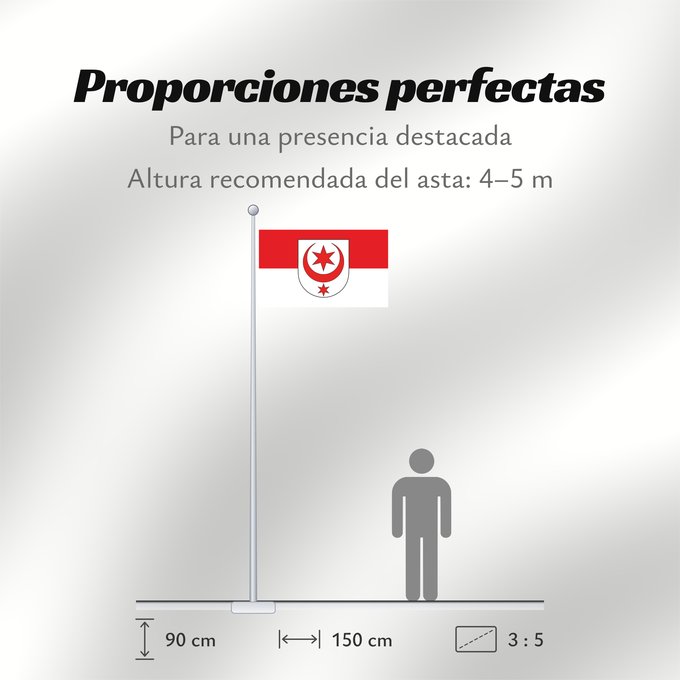 Proporciones de la bandera: Halle Saale City of Halle Saale Halle (Saale) Stadt Halle Saale