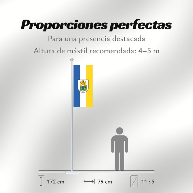 Proporciones de la bandera: Jena