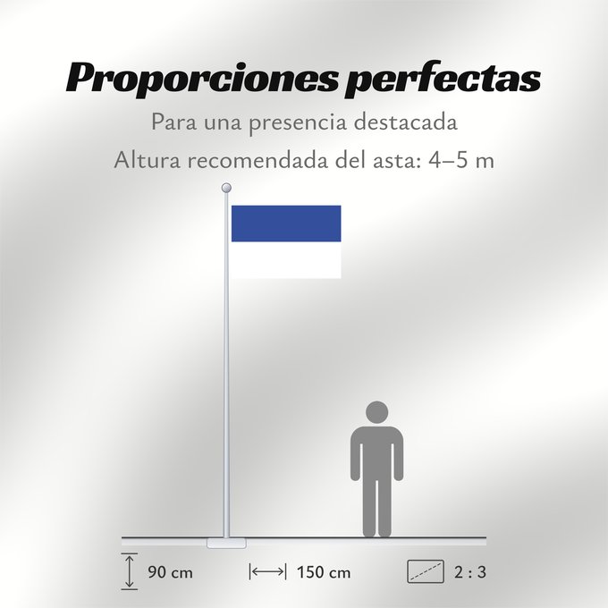 Proporciones de la bandera: Ravensburg