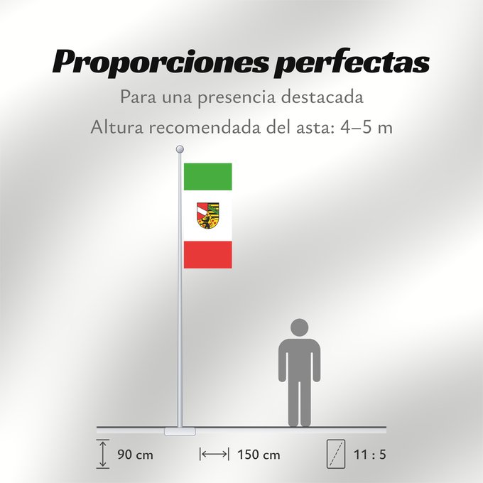 Proporciones de la bandera: Saale-Holzland-Kreis	German district Saale-Holzland-Kreis