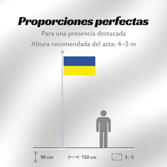 Proporciones de la bandera: Schleswig