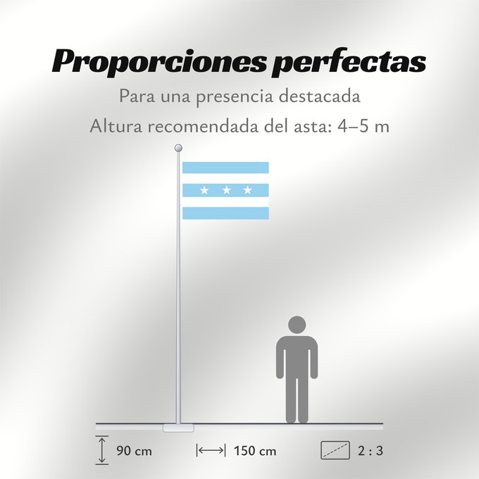 Proporciones de la bandera: Província Guayas