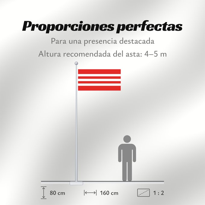 Proporciones de la bandera: Et-Tapa Former Tapa urban municipality until 2005 Tapa (ancienne municipalité jusqu'en 2005) Tapa (antiguo municipio hasta 2005) Tapa (ehemalige Gemeinde bis 2005) Tapa (ex comune fino al 2005)