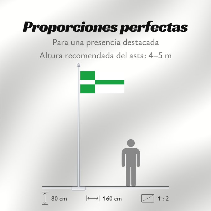 Proporciones de la bandera: Paide lipp	Paide	Paide town - Estonia. 2 1