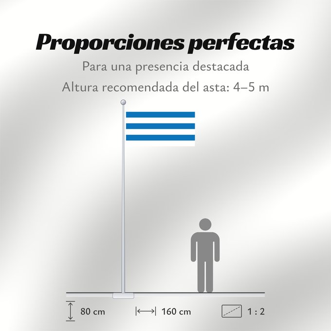 Proporciones de la bandera: Tallinn	Tallinn, Estonia	Tallin	Stadt Tallinn  ehemaliges Reval , Estland	Tallinna lipp