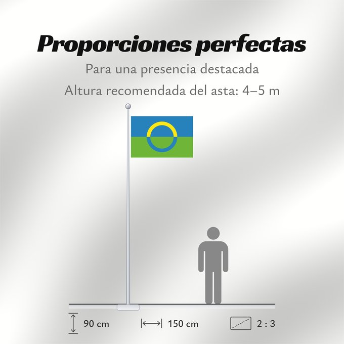 Proporciones de la bandera: Võros  old proposal	Võros  unofficial proposal	Võros (proposition non officielle)	Võros (propuesta no oficial)	Võros (inoffizieller Vorschlag)	Võros (proposta non ufficiale)