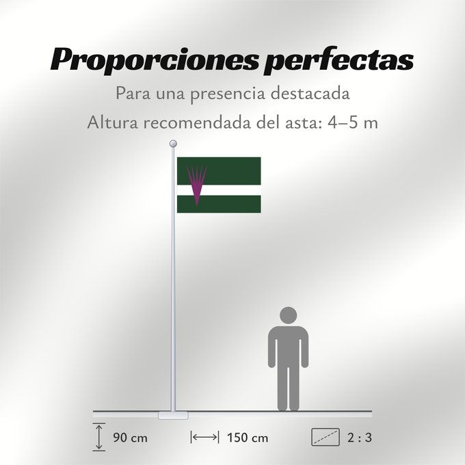 Proporciones de la bandera: D Almacelles	It is easy to put a border around this flag image	Almacelles	Apaisada	Apaïsada