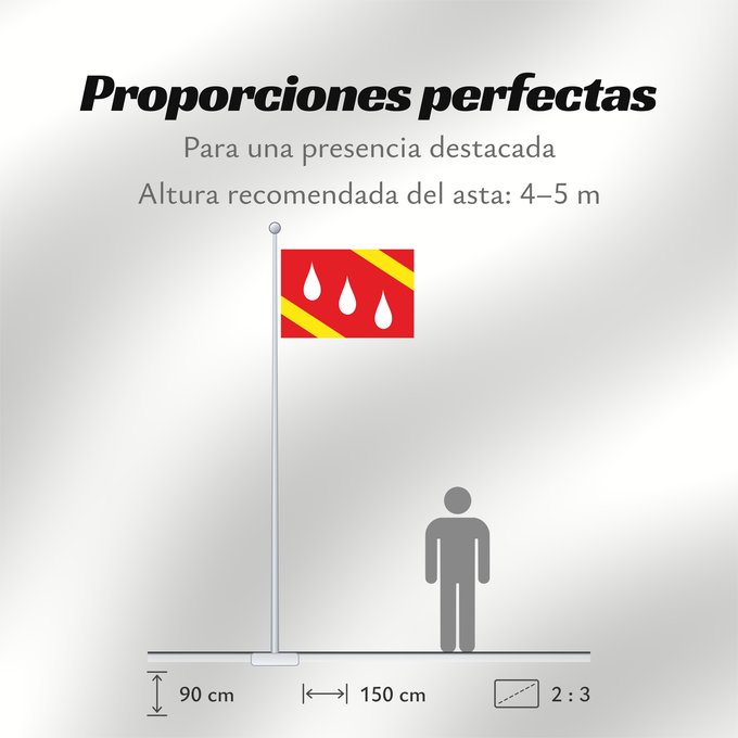Proporciones de la bandera: Aranda de Moncayo