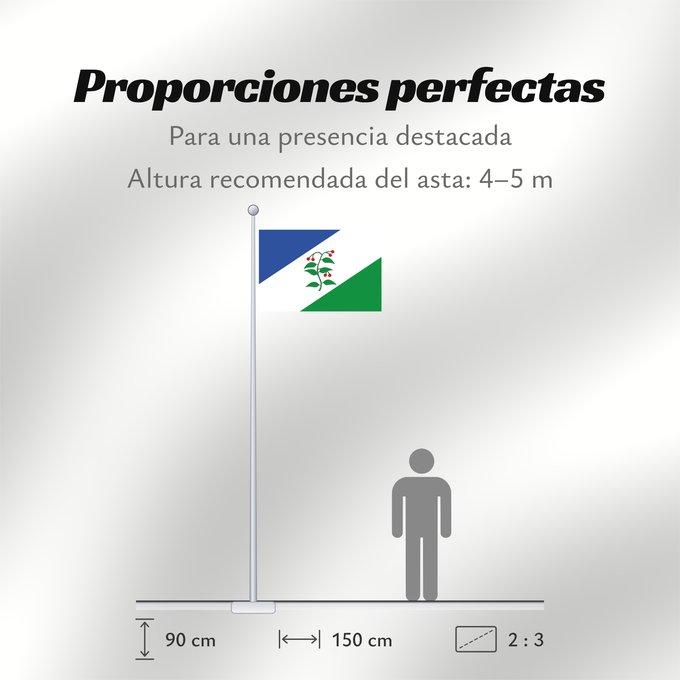 Proporciones de la bandera: D Arbúcies	It is easy to put a border around this flag image	Arbúcies	Apaisada	Apaïsada de proporcions dos dalt per tres de llarg