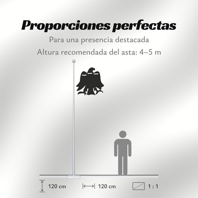 Proporciones de la bandera: Arrano Beltza