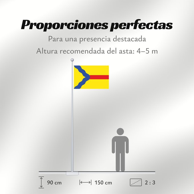 Proporciones de la bandera: Asín	Municipal de Asín - Zaragoza - España