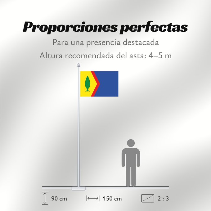 Proporciones de la bandera: Chiprana