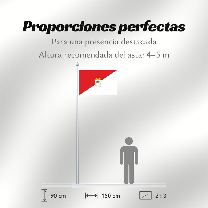 Proporciones de la bandera: Palma del Condado	La Palma del Condado, Huelva, Spain	La Palma del Condado	Palma del Condado, Huelva, España