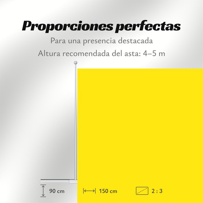 Proporciones de la bandera: Ribera Baja del Ebro