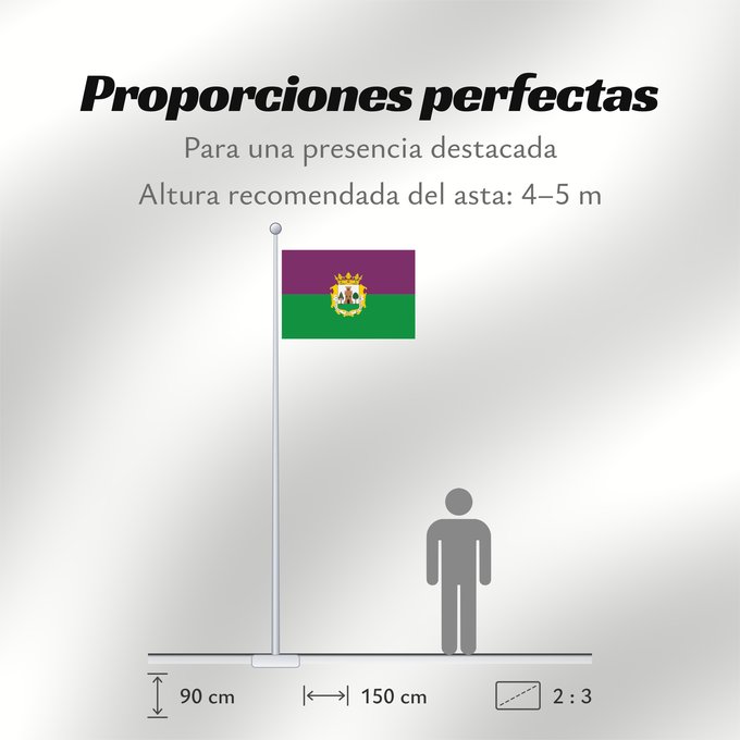 Proporciones de la bandera: Plasencia	Municipio de Plasencia  Cáceres-España