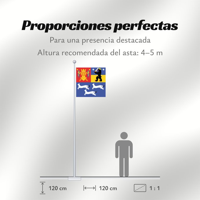 Proporciones de la bandera: Länsi-Suomen lääni