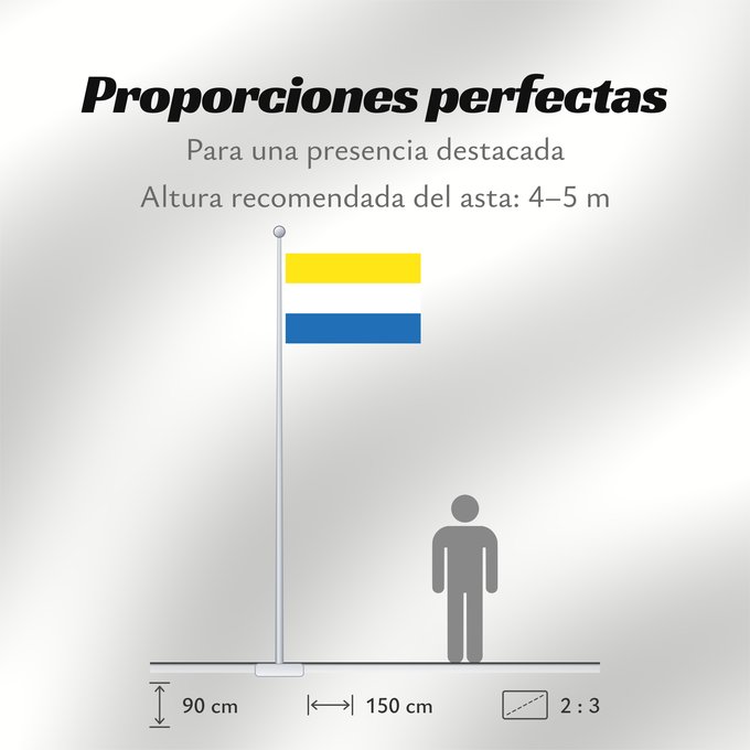 Proporciones de la bandera: Torne Finns	Torne Finns See also Image Torne Finnish Flag.PNG	Finnois de Torne	Fineses de Torne	Tornedaler Finnen	Finni di Torne	Meänmaan