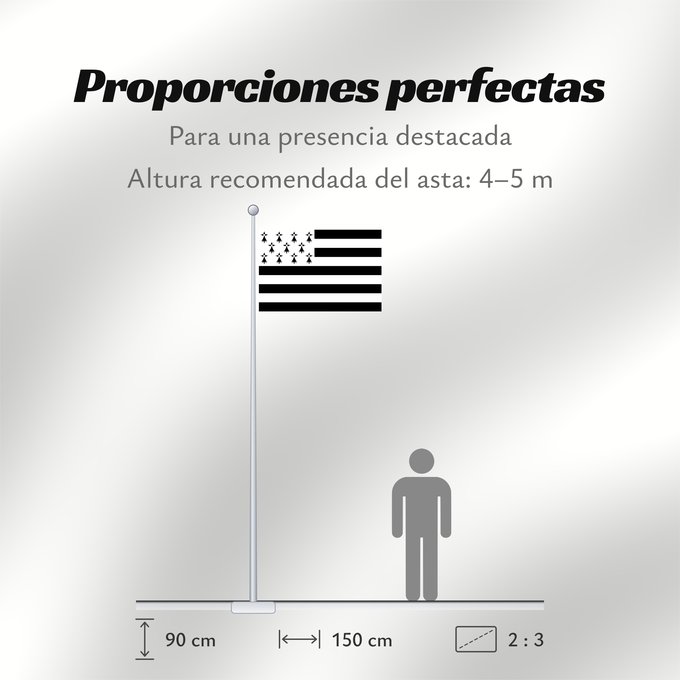 Proporciones de la bandera: Brittany	The Gwenn-ha-du, flag of Brittany	Le Gwenn-ha-du, drapeau de la Bretagne	Spaniel Bretón	Bretagna	Ar Gwenn-ha-du, banniel Breizh