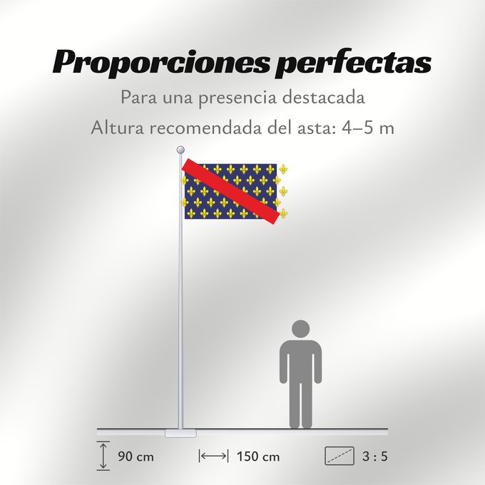 Proporciones de la bandera: Bourbonnais	French province of Bourbonnais	Borbonés	Borbonnais