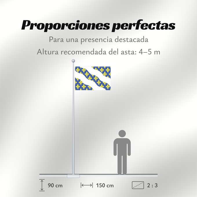 Proporciones de la bandera: Fr département Yvelines	Yvelines	Département des Yvelines	Banniel departamant an Yvelines	Evelinae	Drapèu Yvelines