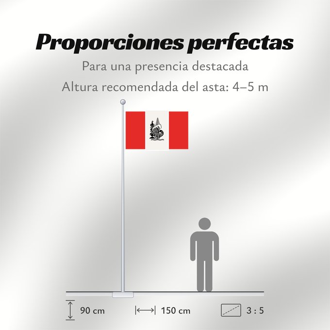Proporciones de la bandera: Commun NC	Proposed common flag of New Caledonia	Proposition de drapeau commun pour la Nouvelle-Caledonie	Bandera común propuesta de Nueva Caledonia	Vorgeschlagene gemeinsame Flagge von Neukaledonien	Proposta di bandiera comune della Nuova Caledonia