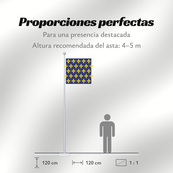 Proporciones de la bandera: France  XII-XIII	France sec. XII-XIII	France (XIIe-XIIIe siècle)	Francia (siglos XII-XIII)	Frankreich (12.-13. Jahrhundert)	Francia del XII-XIII secolo