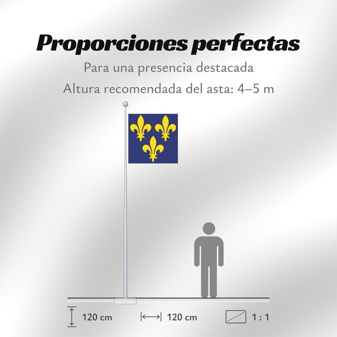 Proporciones de la bandera: France  XIV-XVI	France during the 14th through 16th centuries	France (XIVE-XVIE siècles)	Francia (siglos XIV-XVI)	Frankreich (14.-16. Jahrhundert)	Francia del XIV-XVI secolo