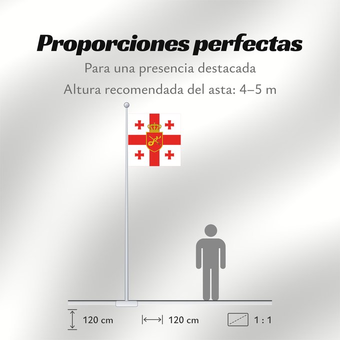 Proporciones de la bandera: Georgia. Standard of Minister of Defence