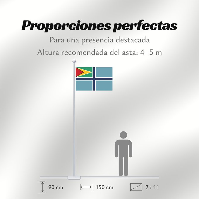 Proporciones de la bandera: Civil Air Ensign of Guyana