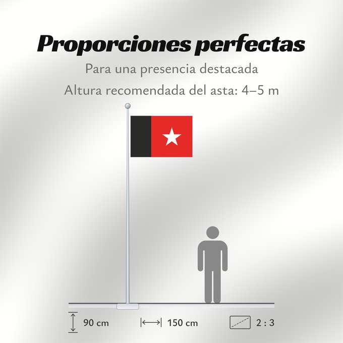 Proporciones de la bandera: Republic of Independent Guyana  1887-1904	Republic of Independent Guyana between 1887 - 1904	République indépendante de Guyane  1887-1904	República Independiente de Guayana (1887-1904)	Republik Unabhängiges Guyana (1887-1904)	Repubblica Indipendente della