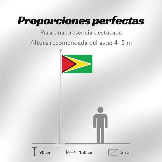 Proporciones de la bandera: Guyana	Guiana	Wayana wiphala	Gujano	Gwayana	Wayana unancha	Флаг Гайаны	Guyanas	Quốc kỳ Guyana