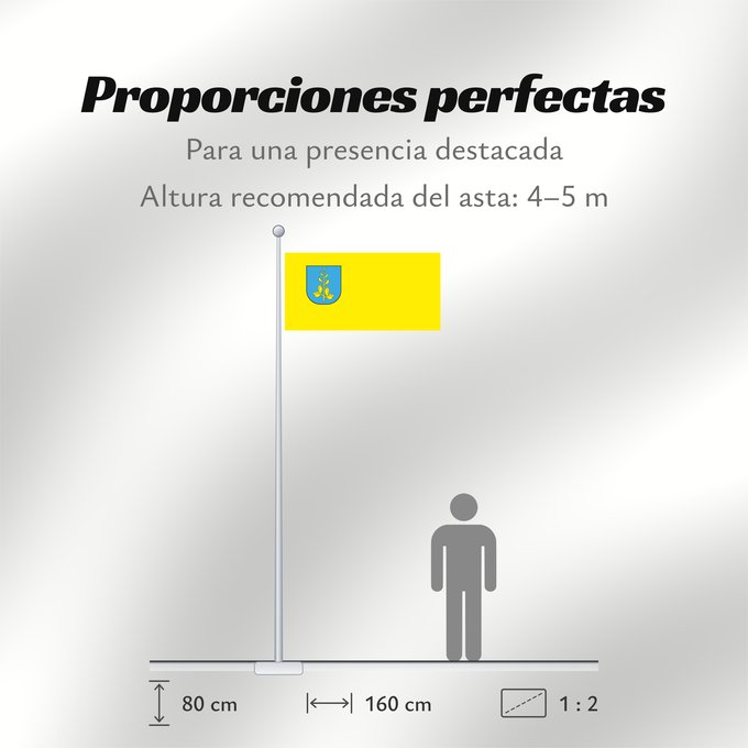 Proporciones de la bandera: Ližnjana	Municipality of Ližnjan	Municipalité de Ližnjan	Municipio de Ližnjan	Gemeinde Ližnjan	Comune di Lisignano	Općine Ližnjana	Občine Ližnjana