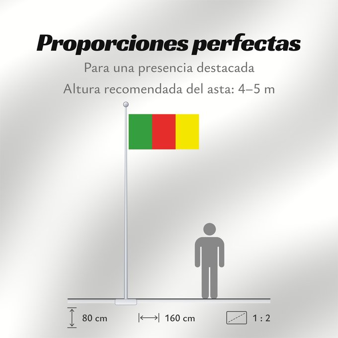 Proporciones de la bandera: County Carlow	Comté de Carlow	Condado de Carlow	Contea di Carlow