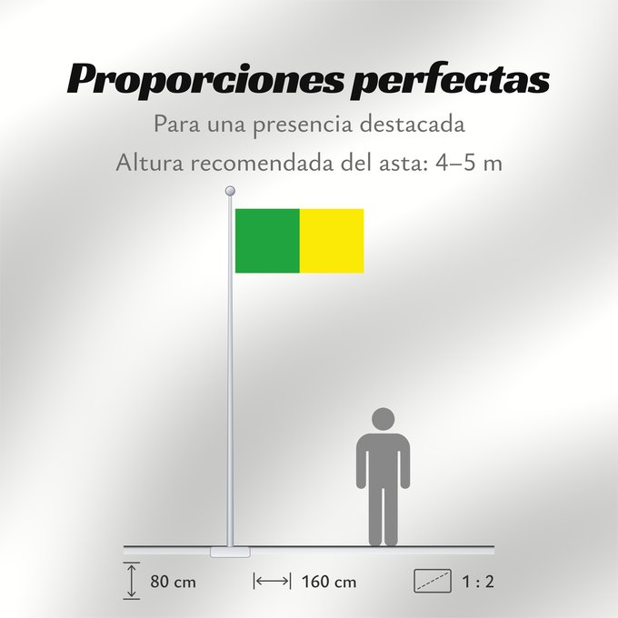 Proporciones de la bandera: Counties of Donegal, Leitrim and Meath	Comtés de Donegal, Leitrim et Meath	Condados de Donegal, Leitrim y Meath	Grafschaften Donegal, Leitrim und Meath	Contee di Donegal, Leitrim e Meath
