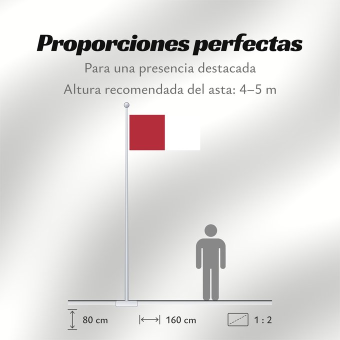 Proporciones de la bandera: Galway Westmeath