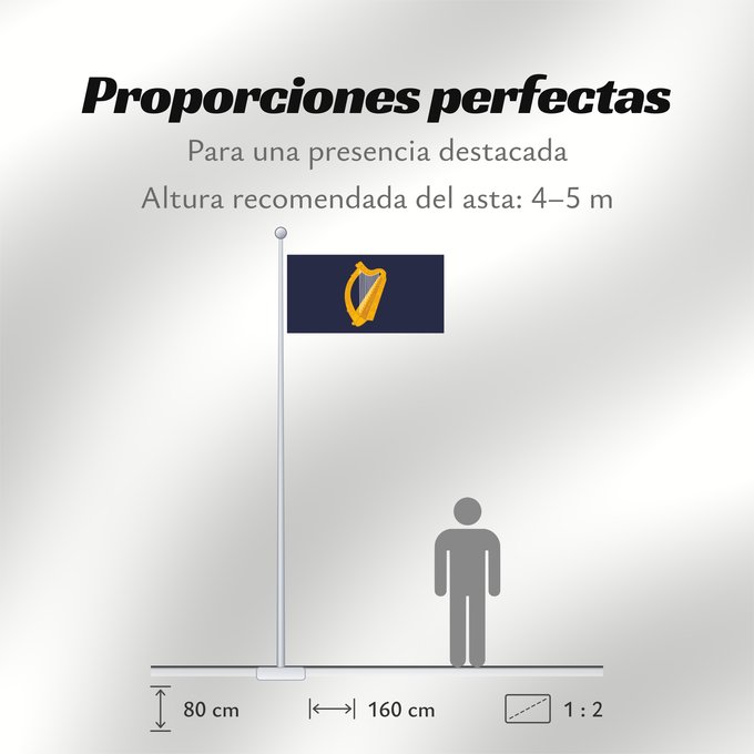 Proporciones de la bandera: President of Ireland	Presidential Flag of Ireland with alternate official state harp design	Étendard présidentiel d'Irlande (motif de harpe alternatif)	Estandarte Presidencial de Irlanda (diseño alternativo de arpa)	Präsidentenstandarte von Irland (abweic