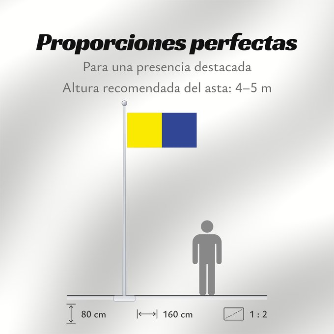 Proporciones de la bandera: County Roscommon	Comté de Roscommon	Condado de Roscommon	Contea di Roscommon