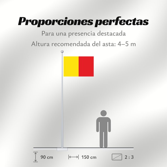 Proporciones de la bandera: Naples Province of Naples Province de Naples Provincia de Naples Provinz Naples Napoli