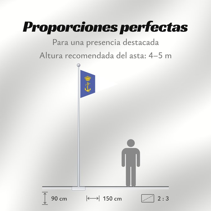 Proporciones de la bandera: Burgee of auxiliary fleet of the Regia Marina