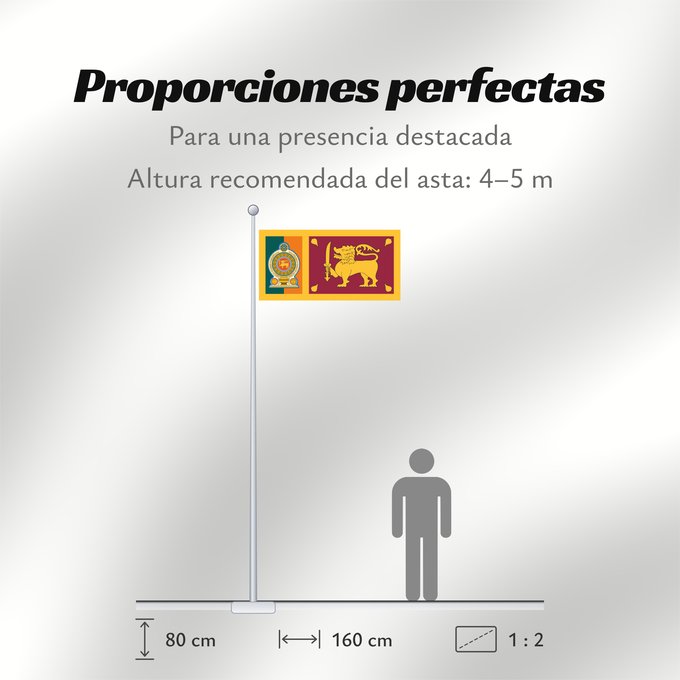 Proporciones de la bandera: Sri Lankan Army