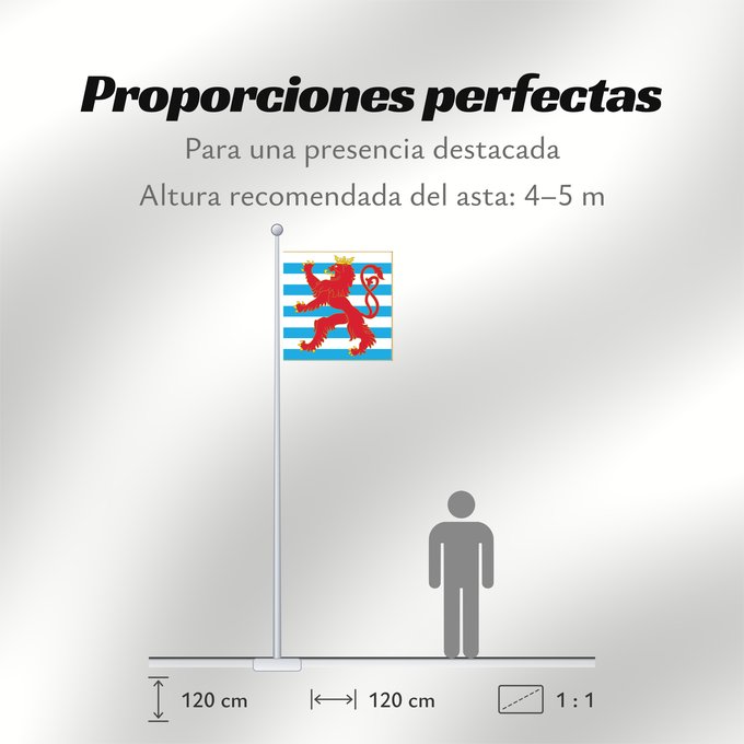 Proporciones de la bandera: Army Colours of Luxembourg Obverse