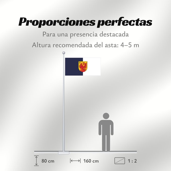 Proporciones de la bandera: Dagda