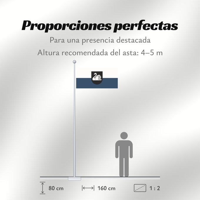 Proporciones de la bandera: Gulbene	Latvian city of Gulbene	Gulbenes pilsētas