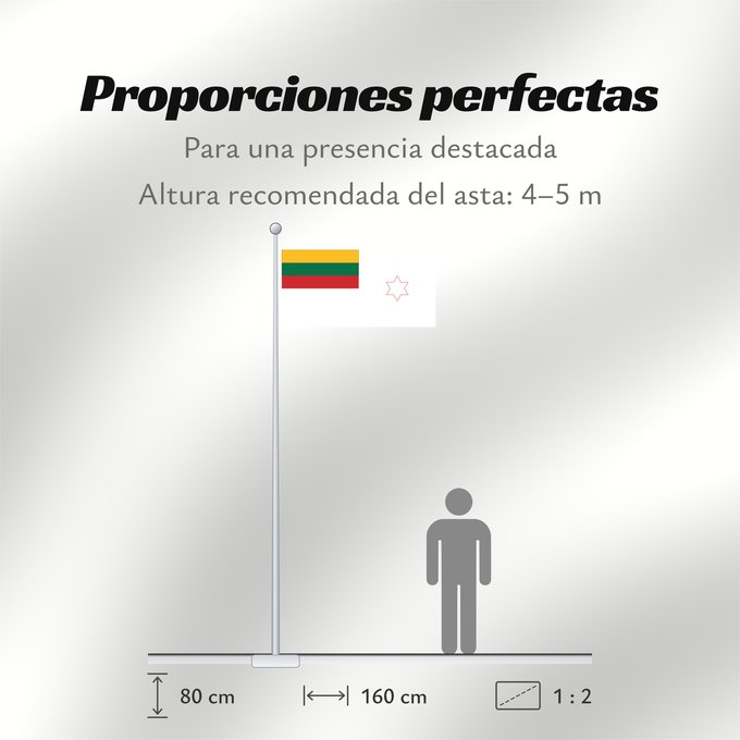 Proporciones de la bandera: Lithuania Naval commander 1 star Commander Naval Armed Forces Lithuania Commandant naval de Lituanie (1 étoile) Comandante Naval de Lituania (1 estrella) Marinekommandant Litauens (1 Stern) Comandante navale della Lituania (1 stella) Командующий ВМФ Лит