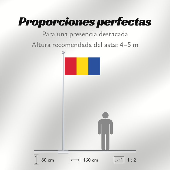 Proporciones de la bandera: Moldova back	Back of the flag of Moldova  1990-2010	Achterkant van de vlag van Moldavië  1990-2010