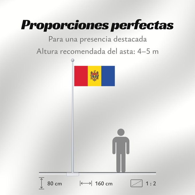 Proporciones de la bandera: Moldova reverse Moldova (reverse) Moldavie (revers) Moldavia (reverso) Moldau (Revers) Moldavia (rovescio) Стягул Републичий Молдова Republicii Moldova, revers