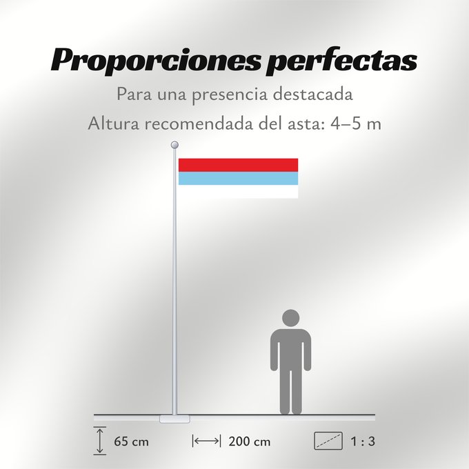 Proporciones de la bandera: Montenegro 1993-2004 Montenegro between 1993 and 2004 Crne Gore 1993-2004