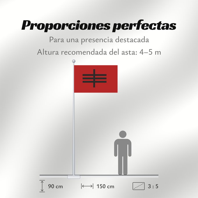 Proporciones de la bandera: Šipkovica Municipality	Former Šipkovica Municiplity, Macedonia	Знаме на поранешната Општина Шипковица