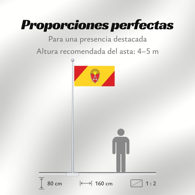 Proporciones de la bandera: Aerodrom Municipality, North Macedonia The old flag of Aerodrom Municipality Aerodrom (jusqu'en 2012) Aerodrom (hasta 2012) Aerodrom (bis 2012) Aerodrom (fino al 2012) Старо знаме на Општина Аеродром