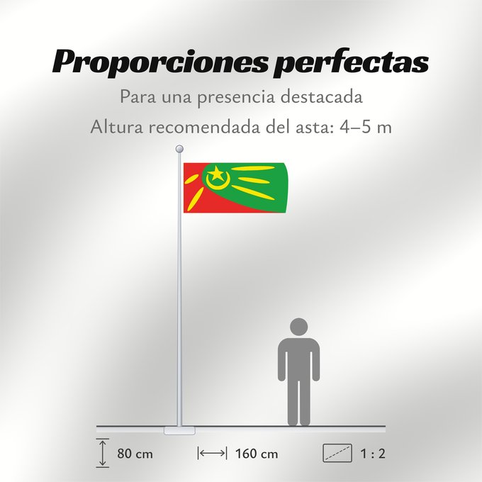Proporciones de la bandera: Plasnica Municipality, North Macedonia Plasnica Municipality, Macedonia Municipalité de Plasnica Municipio de Plasnica Gemeinde Plasnica Comune di Plasnica Знаме на Општина Пласница
